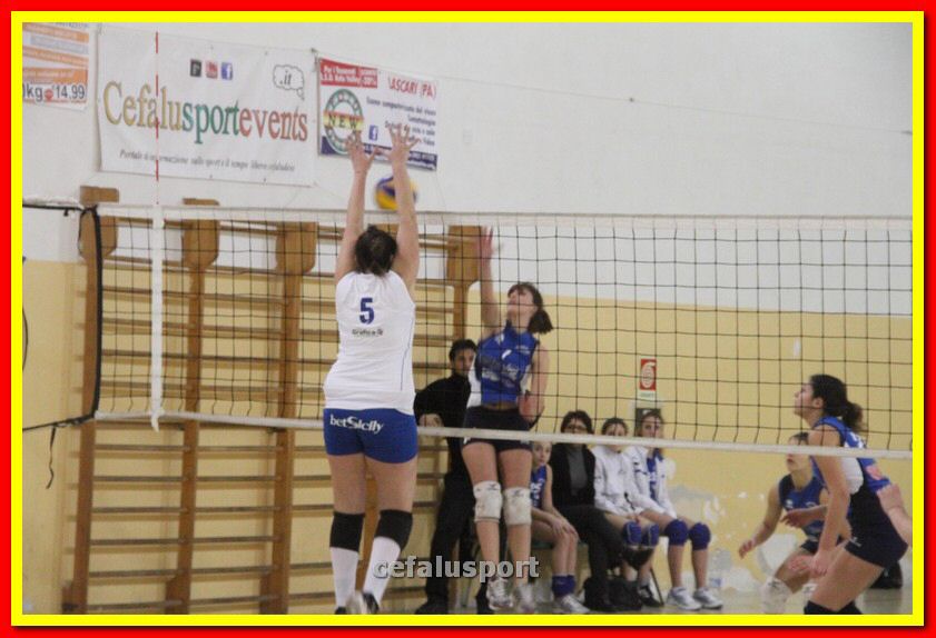 140305 Primula 100_tn.jpg